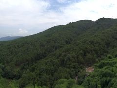 -铁山坪森林公园