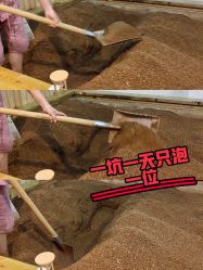 -敖东酵素·离子暖房