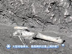 -墨石公园景区