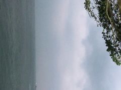 -七鲜渔港美食餐厅(巽寮湾海景店)