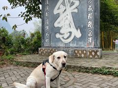 -靖西鹅泉风景区
