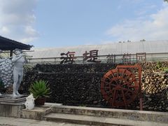 -海堤葡萄园中小学生研学基地