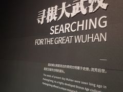 -盘龙城国家考古遗址公园