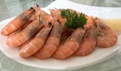 -锦江饭店·锦江小礼堂·宴会厅