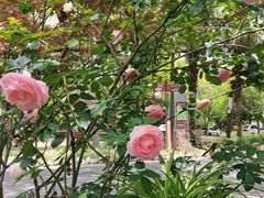 -往来·竹里.宝宝宴.生日宴.团建.宴席(花乡农居店)