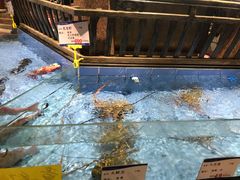 -东江渔村·古典园林·30年粤菜老字号(太和店)