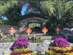 -团结湖公园