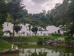 -深圳国际园林花卉博览园