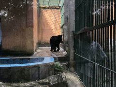 -柳州市动物园