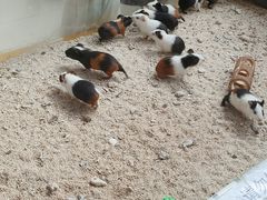 -洛阳龙门海洋馆