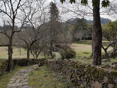 -唐崖土司城遗址