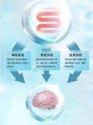 -安吉拉青春化管理中心
