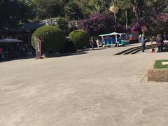 -南诏风情岛