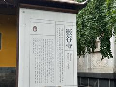 -灵谷景区