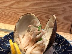 活赤贝-新鲜屋(海德二道店)