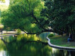 -上海共青森林公园