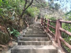 -羚羊峡古栈道森林公园