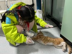 -半岛宠物医院24小时(科华中路店)
