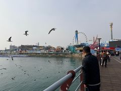 -大连圣亚海洋世界