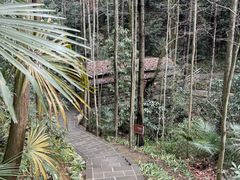 -窦圌山风景区