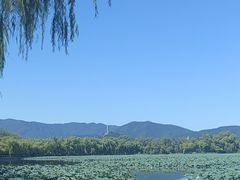 -颐和园