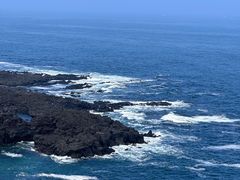 -涉地可支