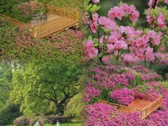 -东湖磨山景区