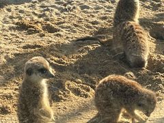 -茅山东方盐湖城景区