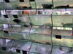 -海之鲜大排档(东山海鲜金銮湾店)