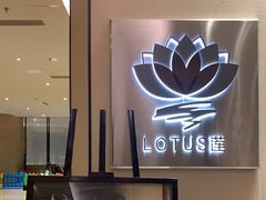 -莲·中餐厅(成都首座万豪酒店)