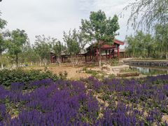 -张家湾公园