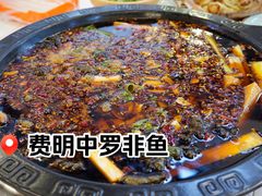 -费明中罗非鱼(大石坝店)