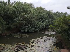 -白沙门生态公园