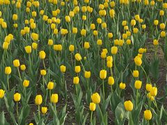 -长春公园(普阳街道)