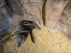 -酷嗒动物文化乐园(cutezoo西溪乐天城店)