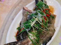 -日日鲜茶餐厅(小公园店)