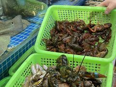 -富临港·蒸汽海鲜·手抓海鲜·炒菜(栈桥店)