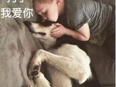 -佳雯宠物医院(四明中路分院)