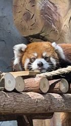 -Zoolung Zoolung动物主题公园(海信广场店)