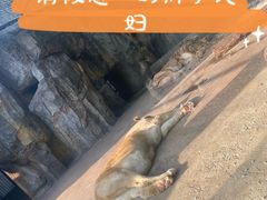 -南昌动物园