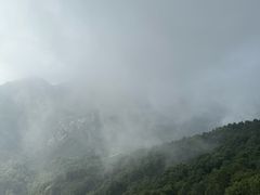 -驼梁风景区