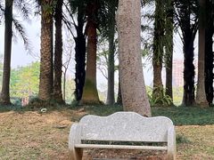 -南宁市凤岭儿童公园