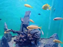 -常州海昌海洋探索馆