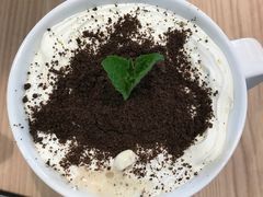 盆栽奶茶-仙踪林(北展店)