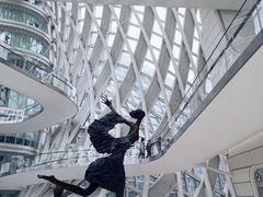 -凤凰中心