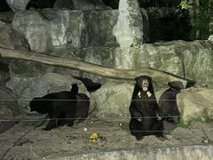 -清迈夜间动物园