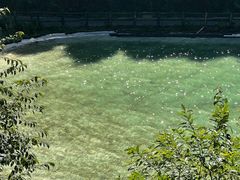 -武陵山森林公园