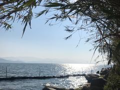 -才村湿地公园