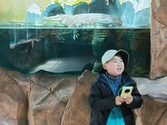 -青藏高原野生动物园