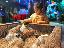 -酷嗒动物文化乐园(cutezoo西溪乐天城店)